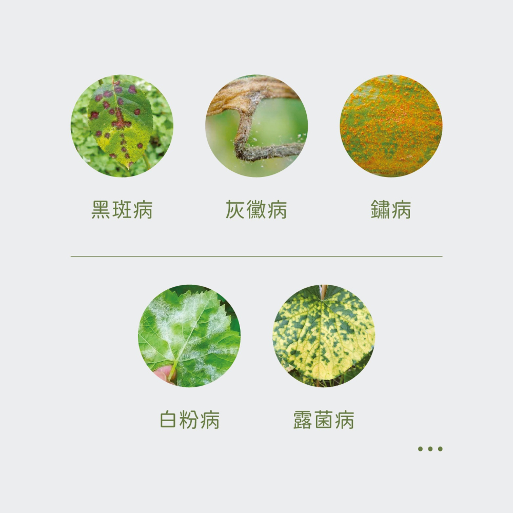 【Earth Stuff】園藝植栽專用天然除蟲液-矽無露PLUS+-細節圖5