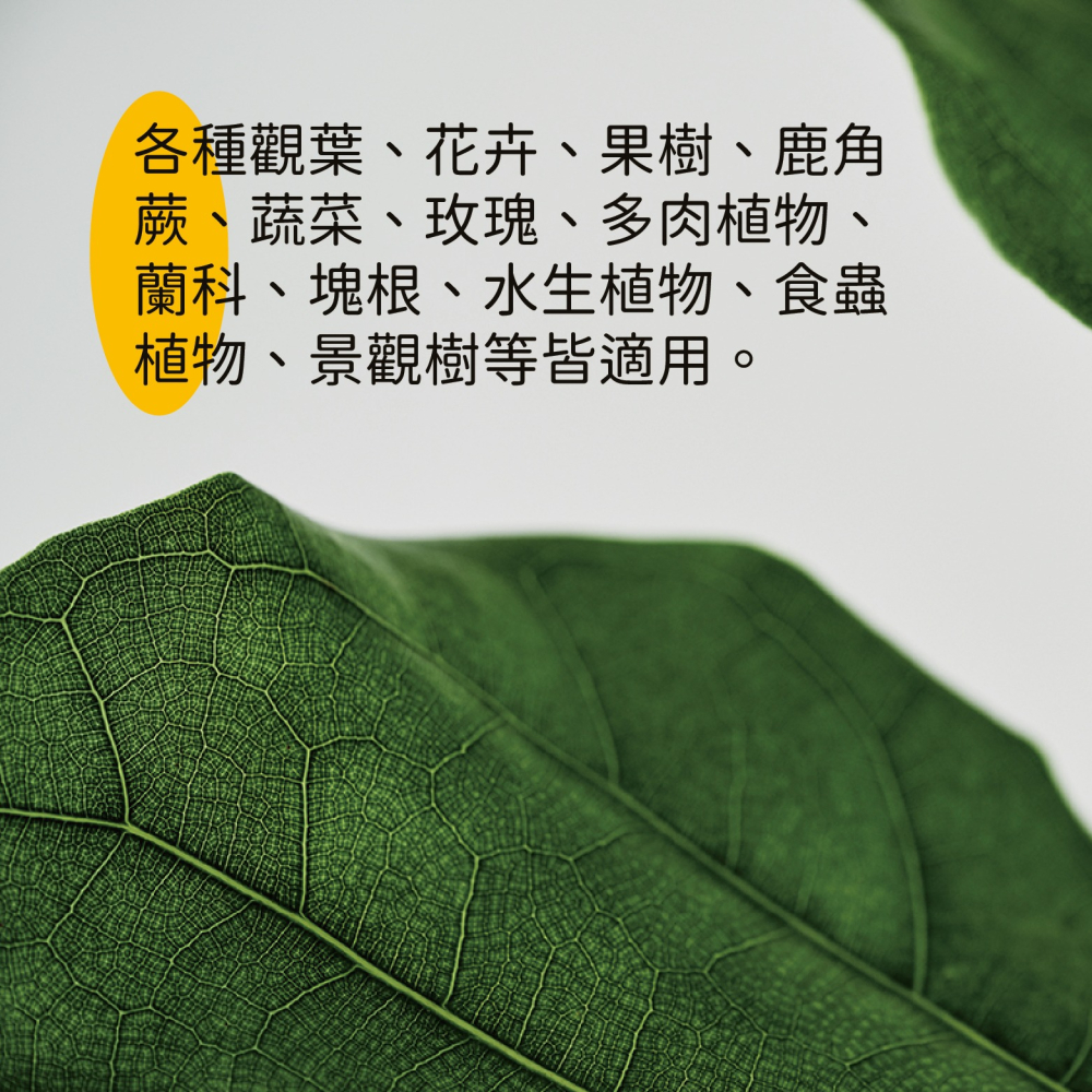 【Earth Stuff】園藝植栽專用天然除蟲液-矽無露PLUS+-細節圖6