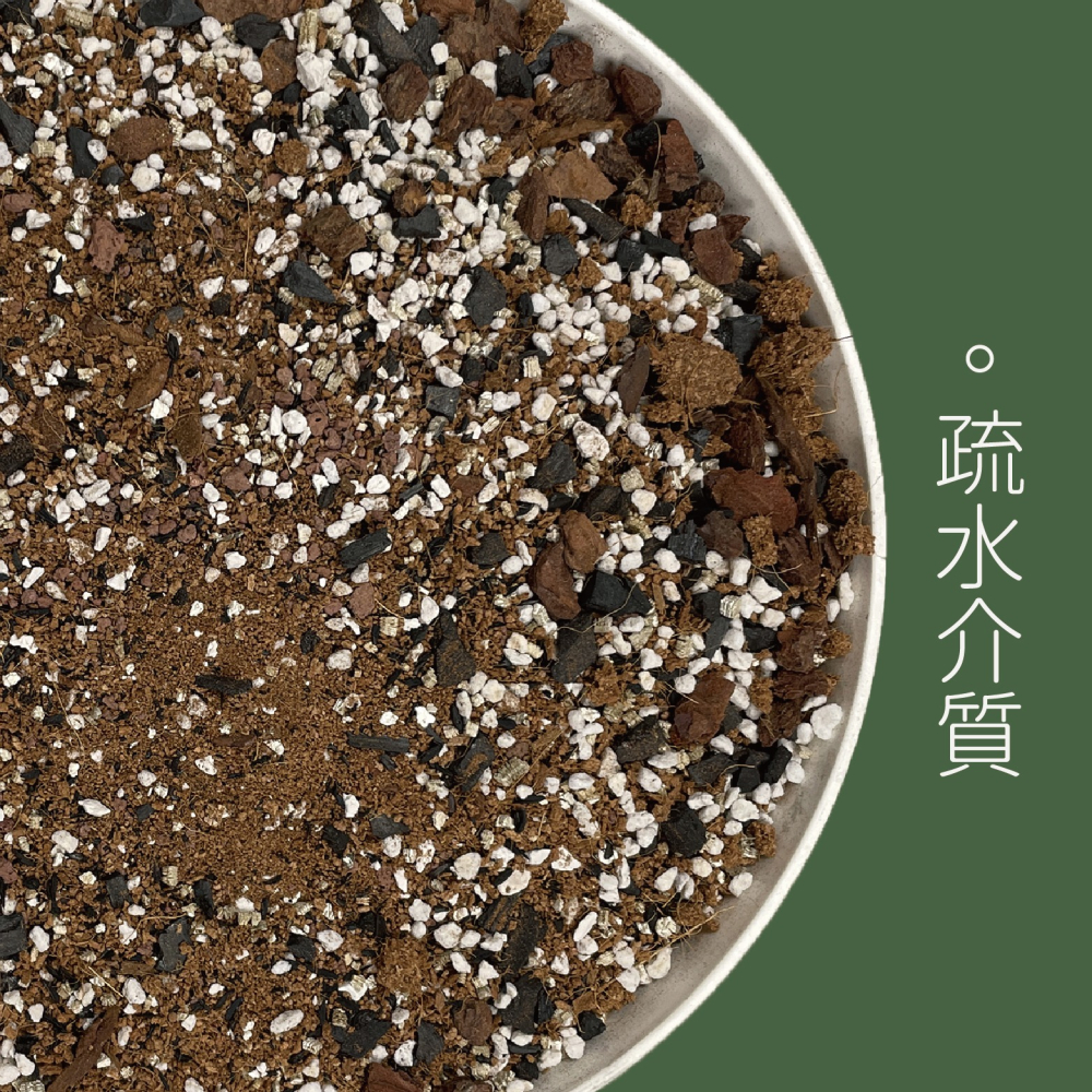 【Earth Stuff】觀葉雨林各式植物專用優良介質土壤-細節圖3