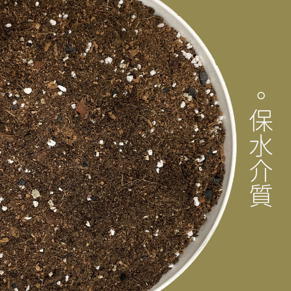 【Earth Stuff】觀葉雨林各式植物專用優良介質土壤-細節圖4