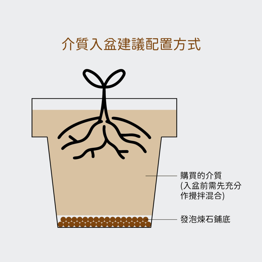 【Earth Stuff】觀葉雨林各式植物專用優良介質土壤-細節圖8
