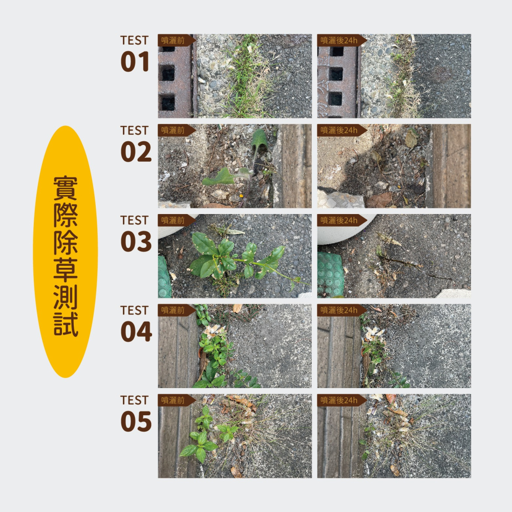 【Earth Stuff】園藝植栽專用天然除草液-草無露PLUS+-細節圖3