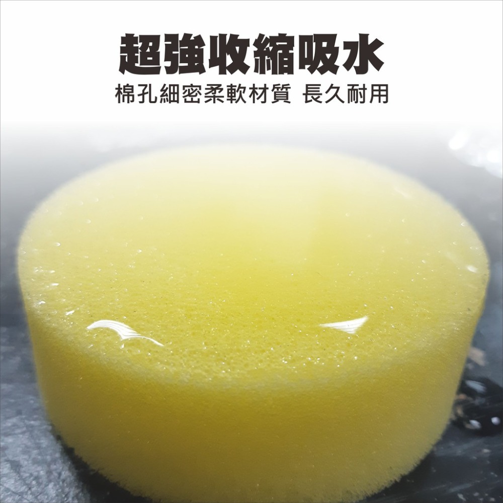 【艾瑞森】全場最便宜 3吋 圓形 海綿 海棉 上蠟棉 上蠟綿 鍍膜海綿 鍍膜海棉 菜瓜布 打蠟海綿 打蠟海棉 打蠟綿-細節圖3