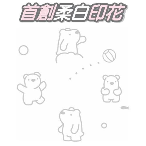 春風極地冰紛小捲筒衛生紙(270張/12捲/8串/箱)-細節圖2