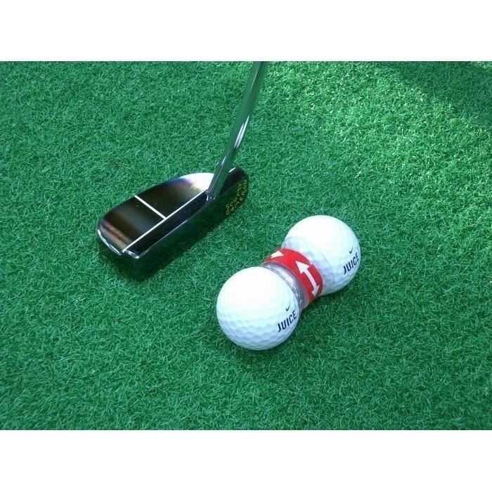 Twinball 狗骨頭 推桿練習器 推桿 桿面設定 高爾夫訓練用品 Golf 高爾夫 低差點 站姿 瞄準-細節圖4
