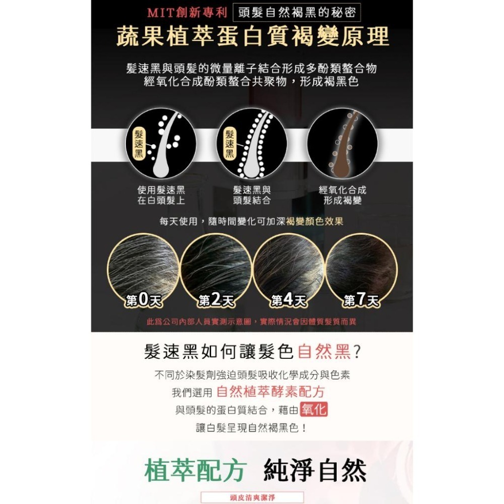 【白髮縱橫買這組】Pure Home 髮速黑 極致修護透黑組-細節圖4