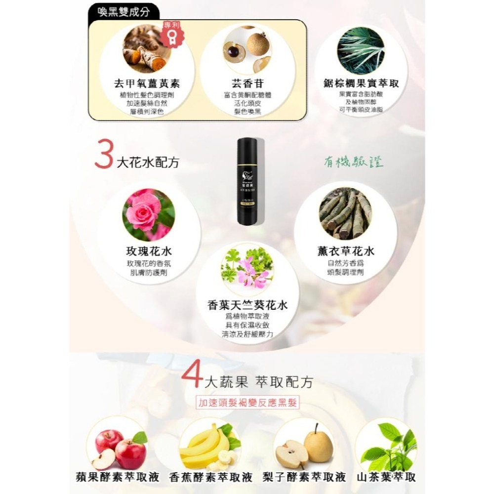 【白髮縱橫買這組】Pure Home 髮速黑 極致修護透黑組-細節圖5