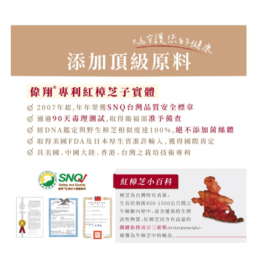 【偉翔生技】紅樟芝枇杷潤喉糖 添加紅樟芝子實體 潤嗓必備 35顆/包-細節圖7