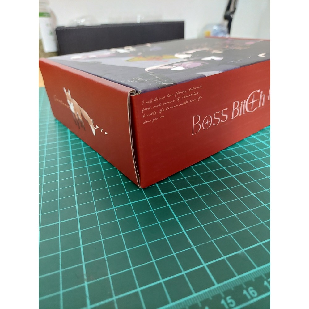 BOSS BITCH BABY 6 特裝版 二手 含書套-細節圖5