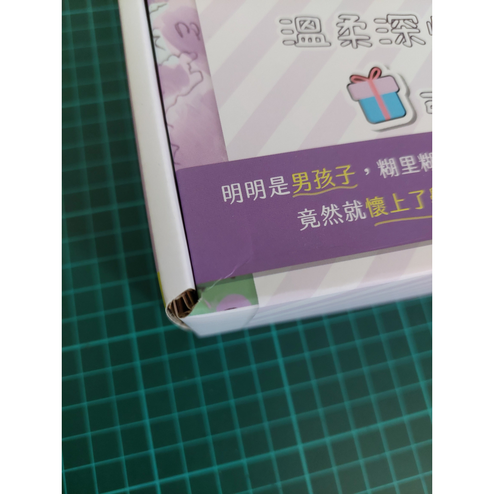 浩植的故事 1+2+3 特裝版 展場版特典 二手 含書套-細節圖4