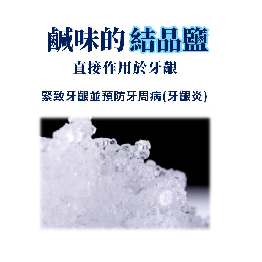 日本 三詩達 SUNSTAR 微粒晶鹽牙膏 鹹味牙膏 黃盒 晶鹽 薄荷 170g 現貨-細節圖3