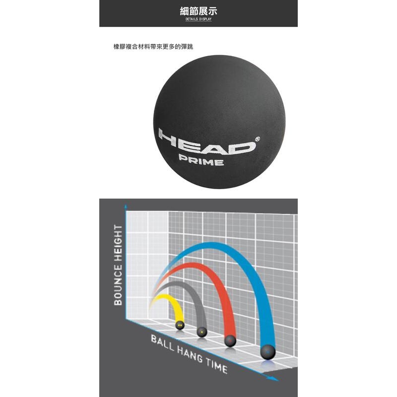 ＂爾東體育＂ HEAD Championship Ball 雙黃點 初學者 單黃點 進階 287326 287306壁球-細節圖2