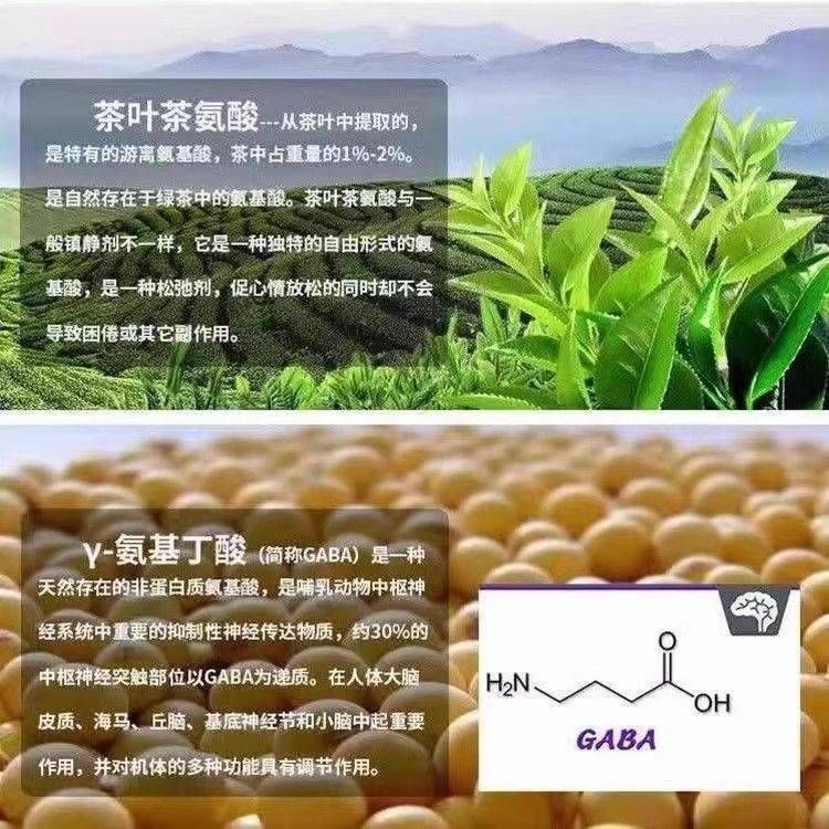 阜豐食品級L-茶胺酸 99%高含量 100公克-細節圖2
