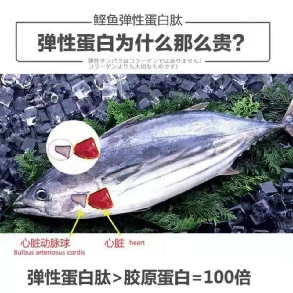 法國彈性蛋白肽粉鰹魚蛋白肽200克精裝-細節圖3