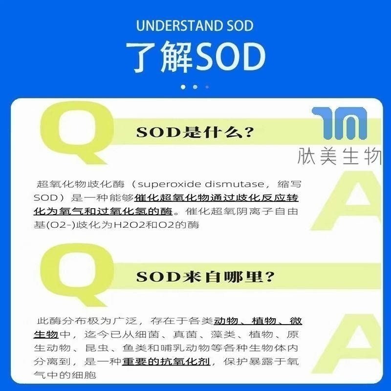 SOD 超氧化物歧化酶20000U/g VC10% 刺梨萃取物正品100克-細節圖3