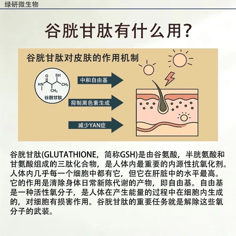 穀胱甘肽粉99.8% 食品級還原型穀胱甘肽粉末-細節圖2