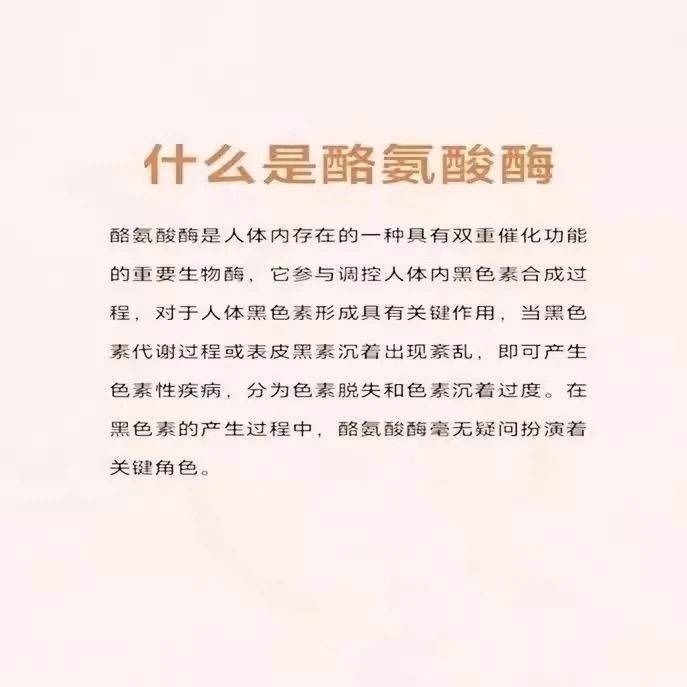 酪胺酸酶食品級100克-細節圖2