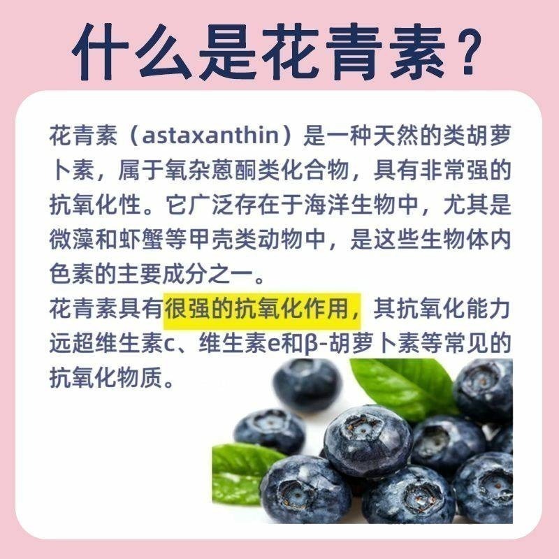 巴西莓花青素50:1 巴西莓萃取物100克-細節圖3