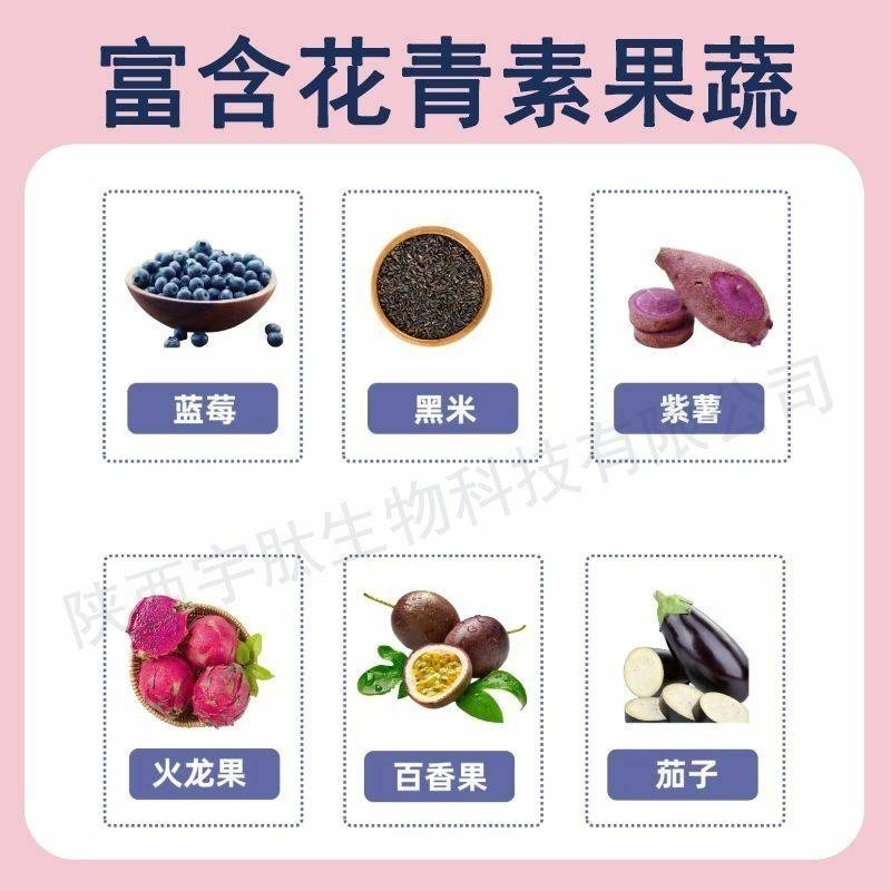 野櫻莓花青素25% 不老莓萃取物100克-細節圖3