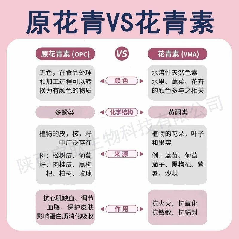 野櫻莓花青素25% 不老莓萃取物100克-細節圖4