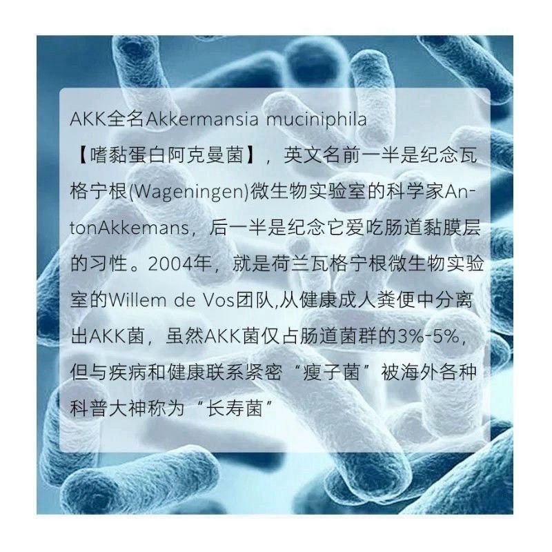 AKK高活性嗜酸性蛋白阿克曼氏菌改變菌叢生態調整體質-細節圖3