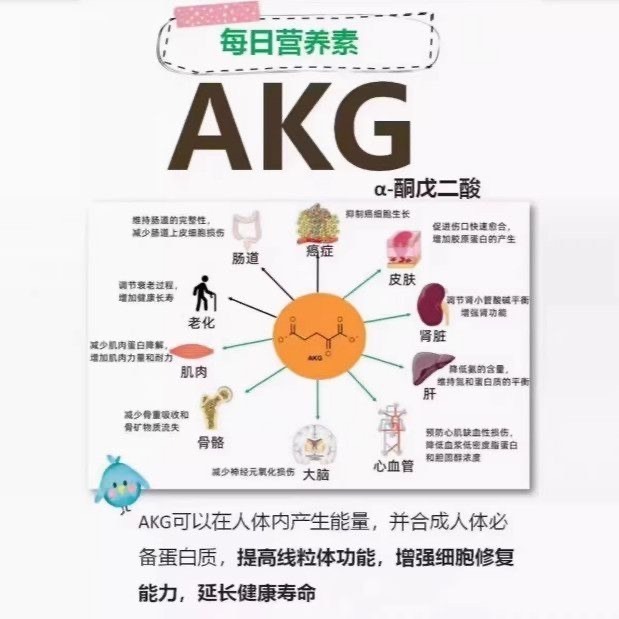 α-酮戊二酸99%食品級原料α酮戊二酸AKG粉-細節圖3