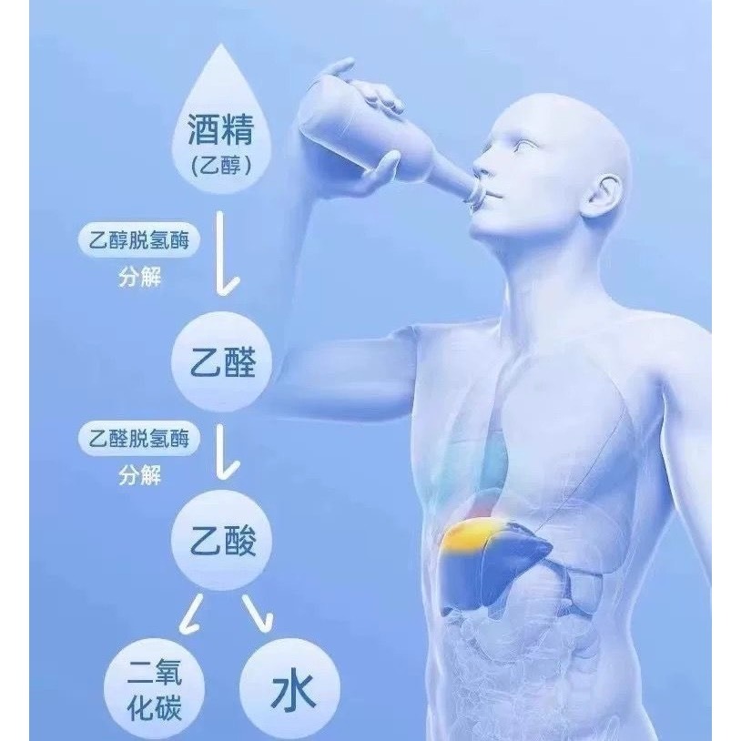 乙醛脫氫酶 98% 食品級 ALDH 乙醛脫氫酶膠囊100顆-細節圖3