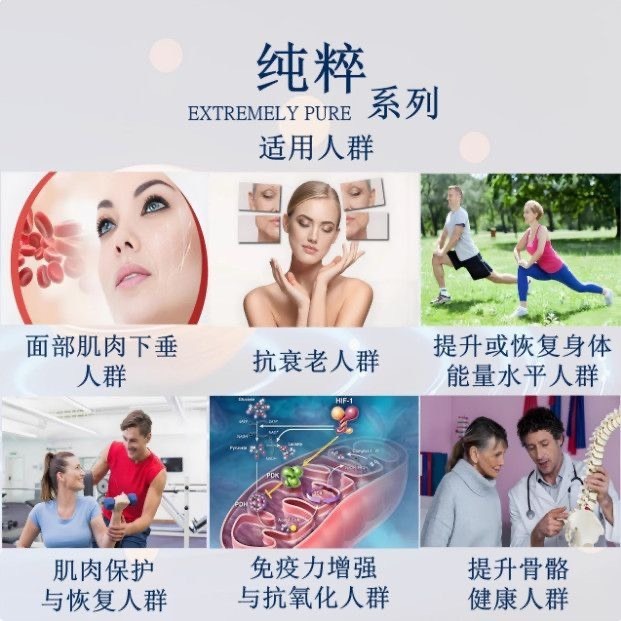 α-酮戊二酸99%食品級原料α酮戊二酸AKG粉膠囊100顆-細節圖5