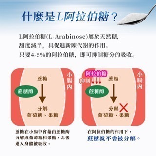 【益州生醫】樂妍孅 L997抗糖膠囊 x 30 粒/盒-細節圖3