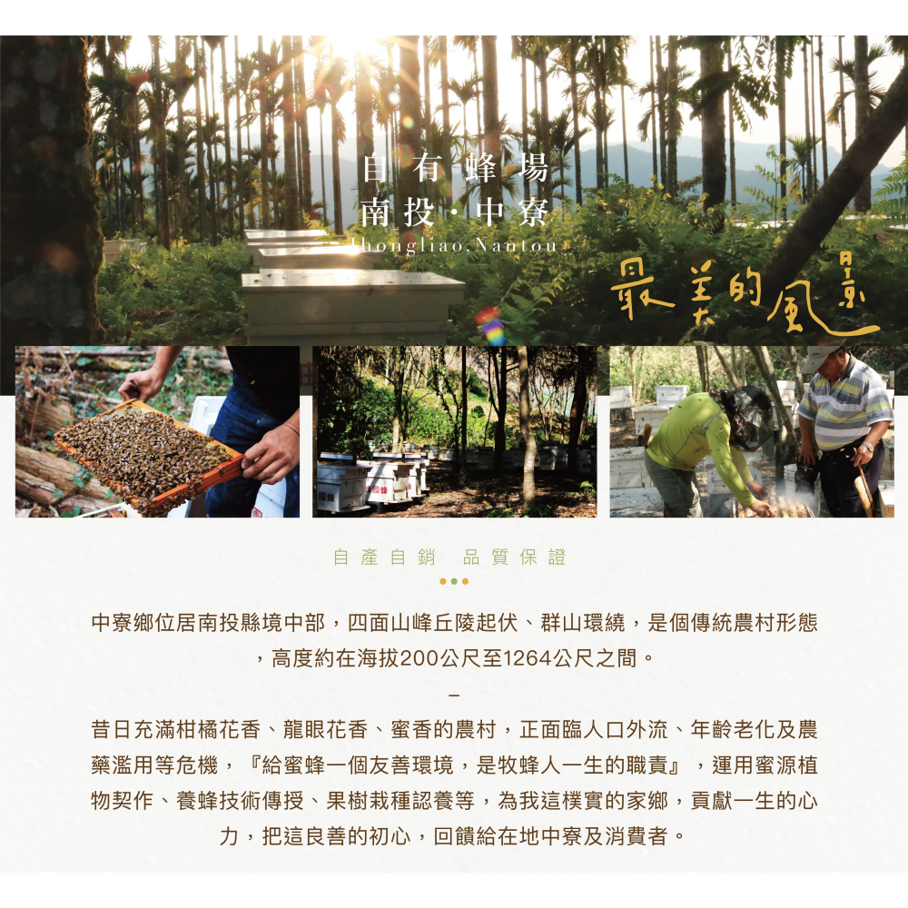 【蜂國】龍眼蜜頭等獎 250g*2入（禮盒） | 2025全國蜂蜜評鑑 | 得獎蜜 | 比賽蜜-細節圖4