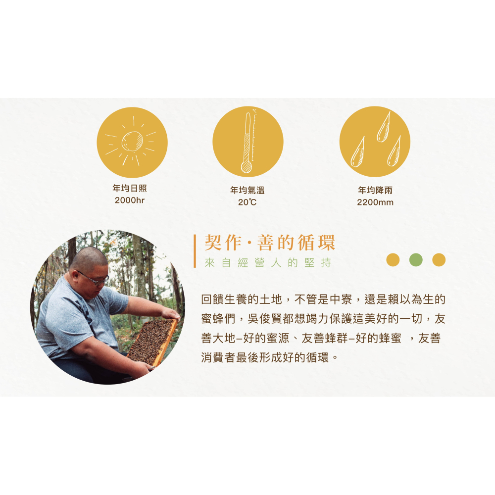 【蜂國】荔枝蜜頭等獎 250g*2入（禮盒） | 2025全國蜂蜜評鑑 | 得獎蜜 | 比賽蜜-細節圖5