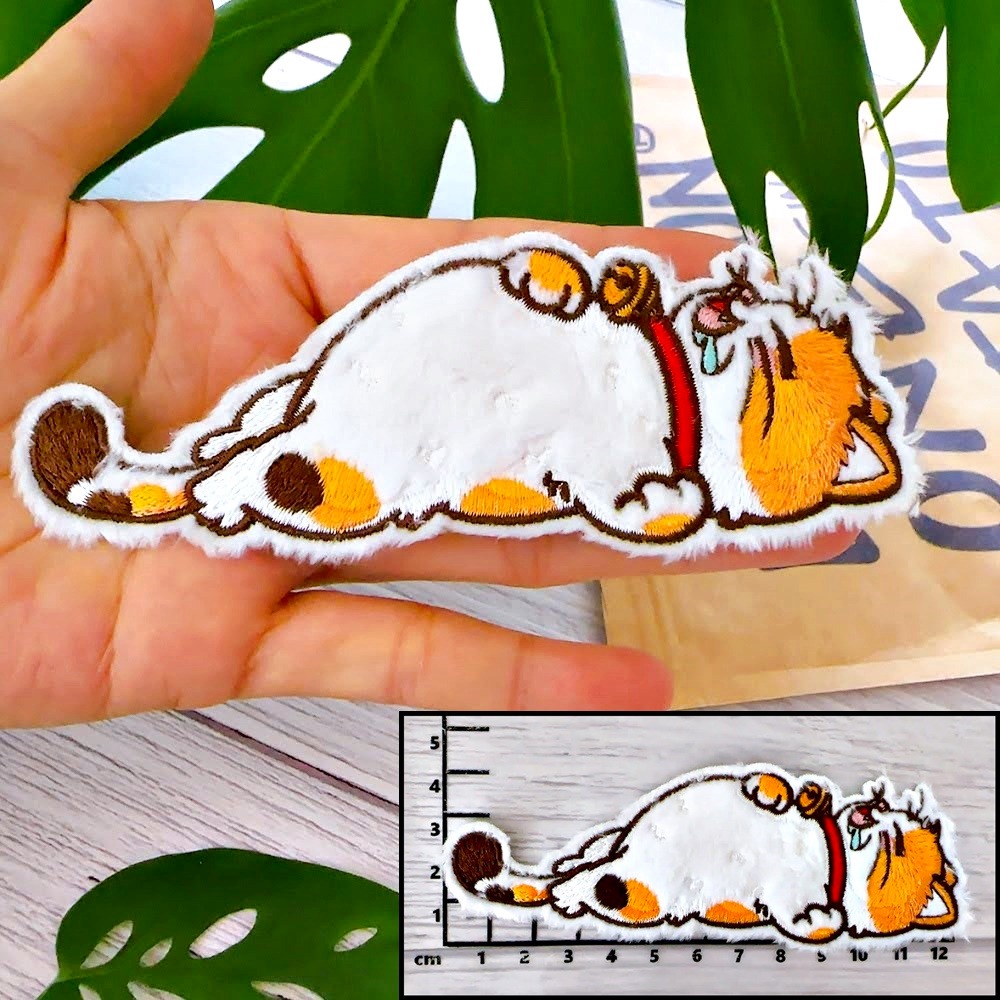 黃貓
