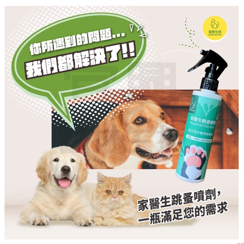 【假日正常出貨 現貨供應】家醫生 跳蚤噴劑 200ml 居家除跳蚤 寵物驅蚤 除蚤噴霧 除蚤 跳蚤 跳蚤藥 毛孩好幫手-細節圖2