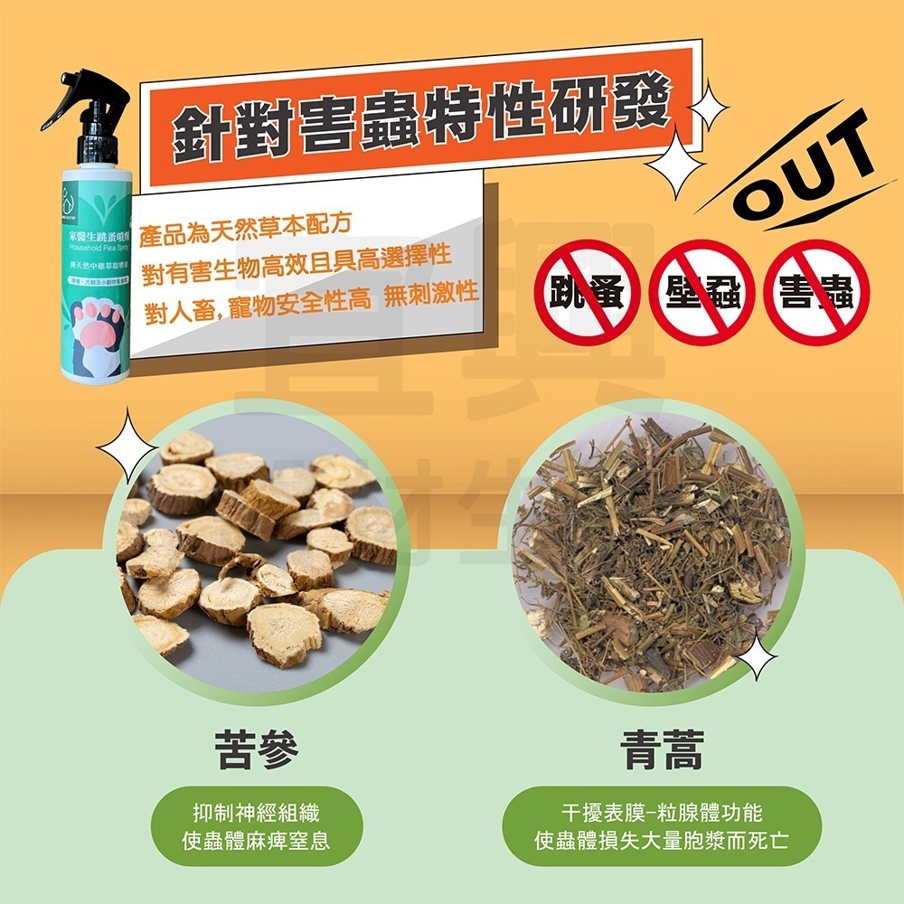 【假日正常出貨 現貨供應】家醫生 跳蚤噴劑 200ml 居家除跳蚤 寵物驅蚤 除蚤噴霧 除蚤 跳蚤 跳蚤藥 毛孩好幫手-細節圖4