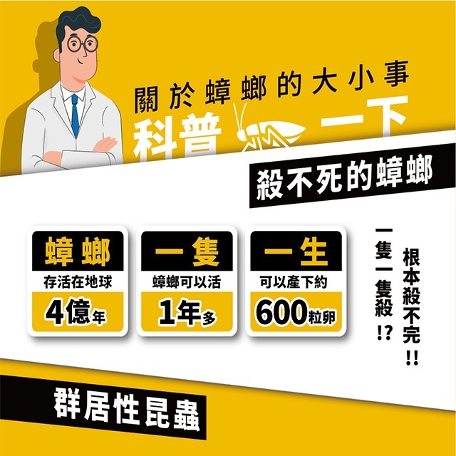 【假日正常出貨 開立發票】 174T蟑螂藥 20克 174T螞蟻藥 30克 每組含20個專用餌劑盒 174T 殺蟑 除蟻-細節圖3