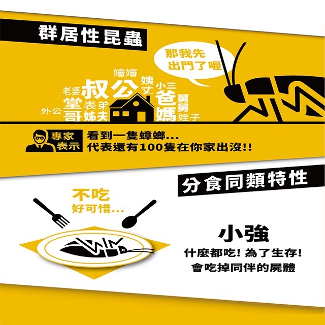 【假日正常出貨 開立發票】 174T蟑螂藥 20克 174T螞蟻藥 30克 每組含20個專用餌劑盒 174T 殺蟑 除蟻-細節圖4