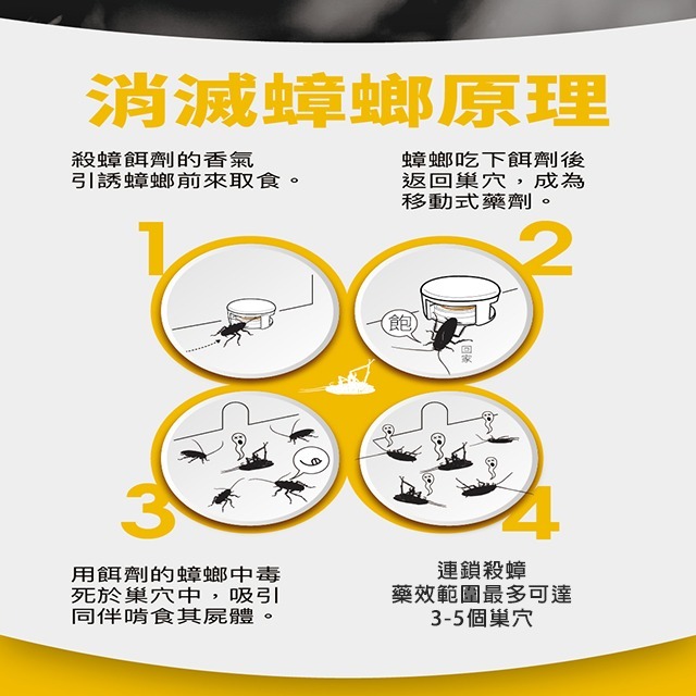 【假日正常出貨 開立發票】 174T蟑螂藥 20克 174T螞蟻藥 30克 每組含20個專用餌劑盒 174T 殺蟑 除蟻-細節圖6