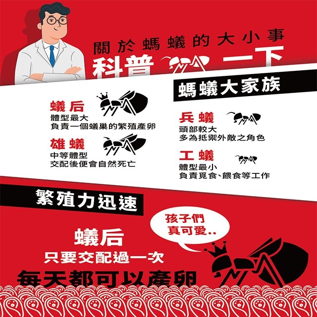 【假日正常出貨 開立發票】 174T蟑螂藥 20克 174T螞蟻藥 30克 每組含20個專用餌劑盒 174T 殺蟑 除蟻-細節圖7