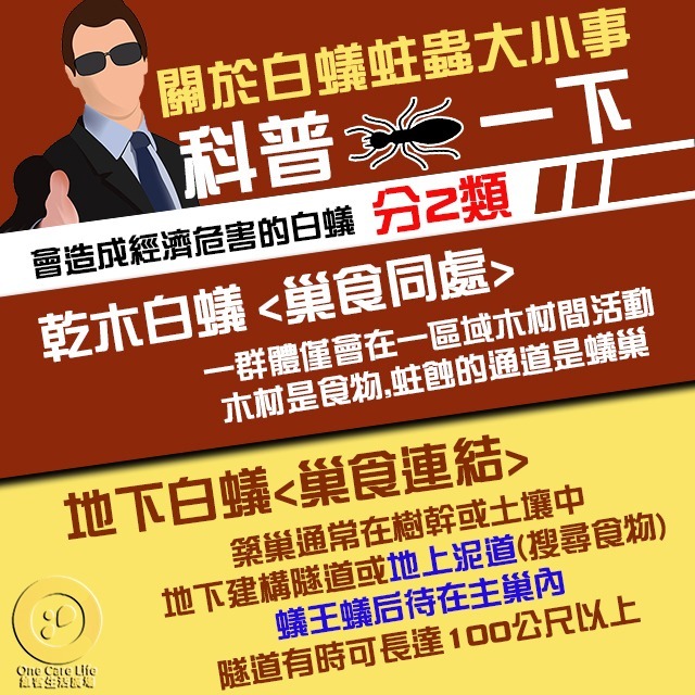 【現貨供應+電子發票】白蟻藥 蛀蟲藥 護木靈 1公升 台灣製品質有保障木料DIY產品 防治 蛀蟲,粉囊蟲 白蟻 木蠹蟲-細節圖2