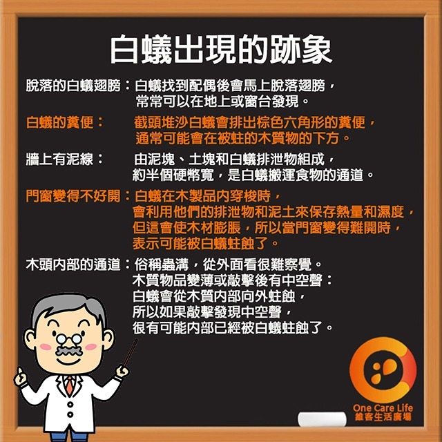 【現貨供應+電子發票】白蟻藥 蛀蟲藥 護木靈 1公升 台灣製品質有保障木料DIY產品 防治 蛀蟲,粉囊蟲 白蟻 木蠹蟲-細節圖8