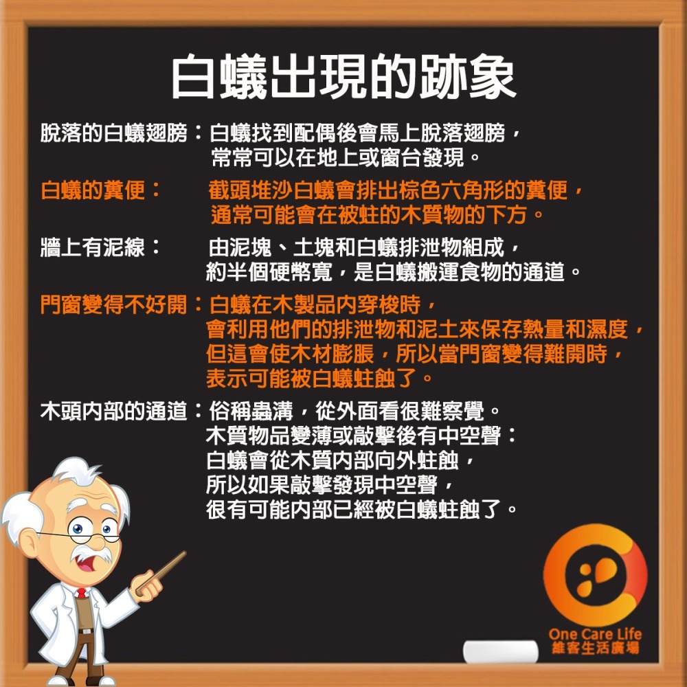 【現貨供應+電子發票】奧除 白蟻專家100ml 室內戶外皆可用 白蟻藥 除白蟻好幫手 連鎖除白蟻 木頭清香不刺鼻-細節圖3