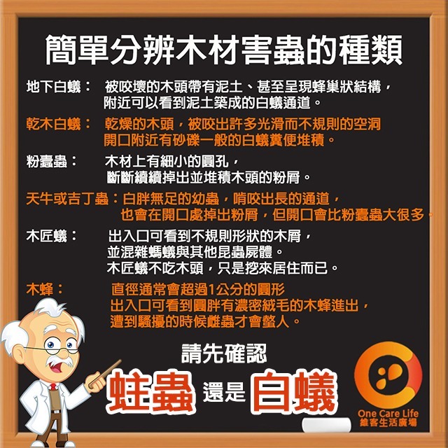 【現貨供應+電子發票】奧除 白蟻專家100ml 室內戶外皆可用 白蟻藥 除白蟻好幫手 連鎖除白蟻 木頭清香不刺鼻-細節圖4