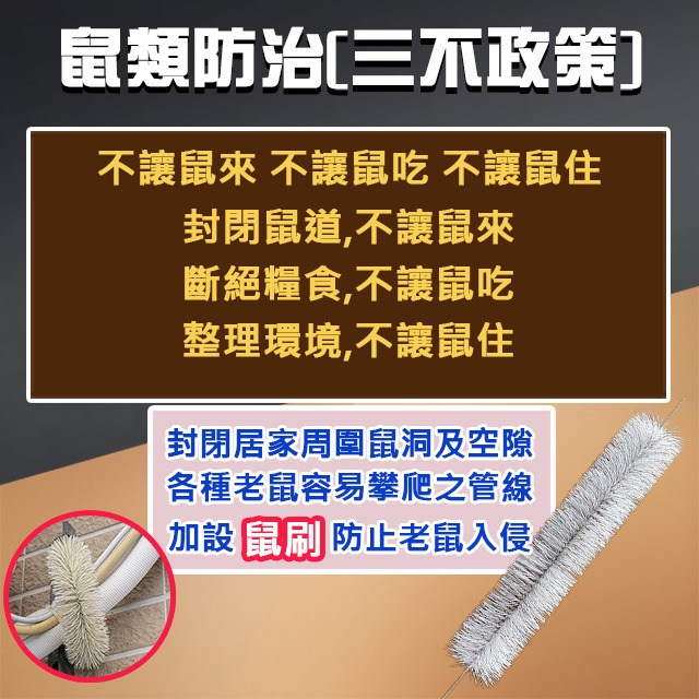 【現貨供應+電子發票】防鼠刺刷 鼠刷 填補老鼠洞 防鼠刷 堵鼠洞防鼠爬 黏鼠板 捕鼠器 驅鼠 防止老鼠入侵 驅趕老鼠-細節圖5