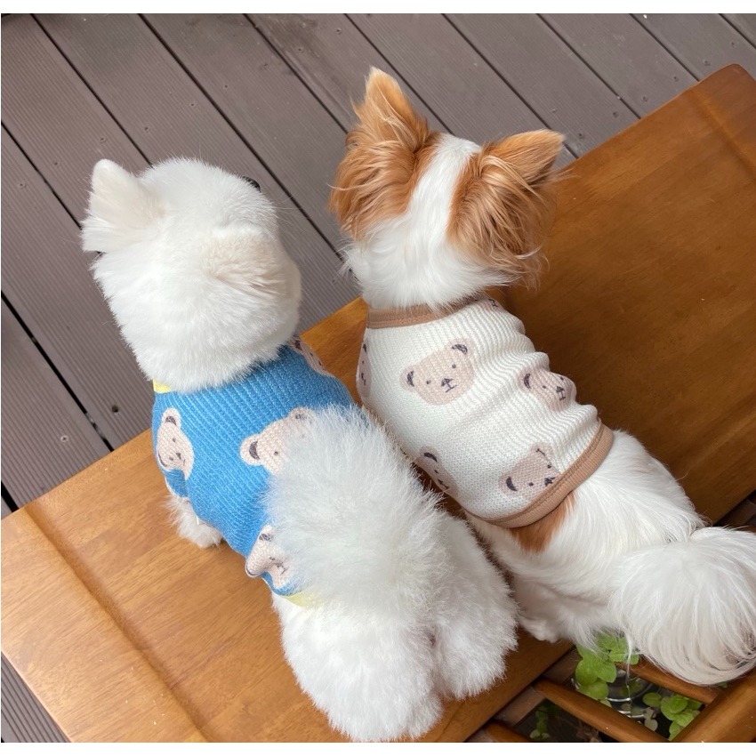 泰迪熊針織衣-細節圖3