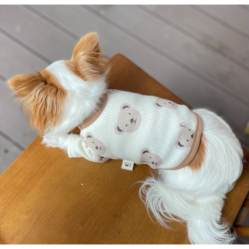 泰迪熊針織衣-細節圖5