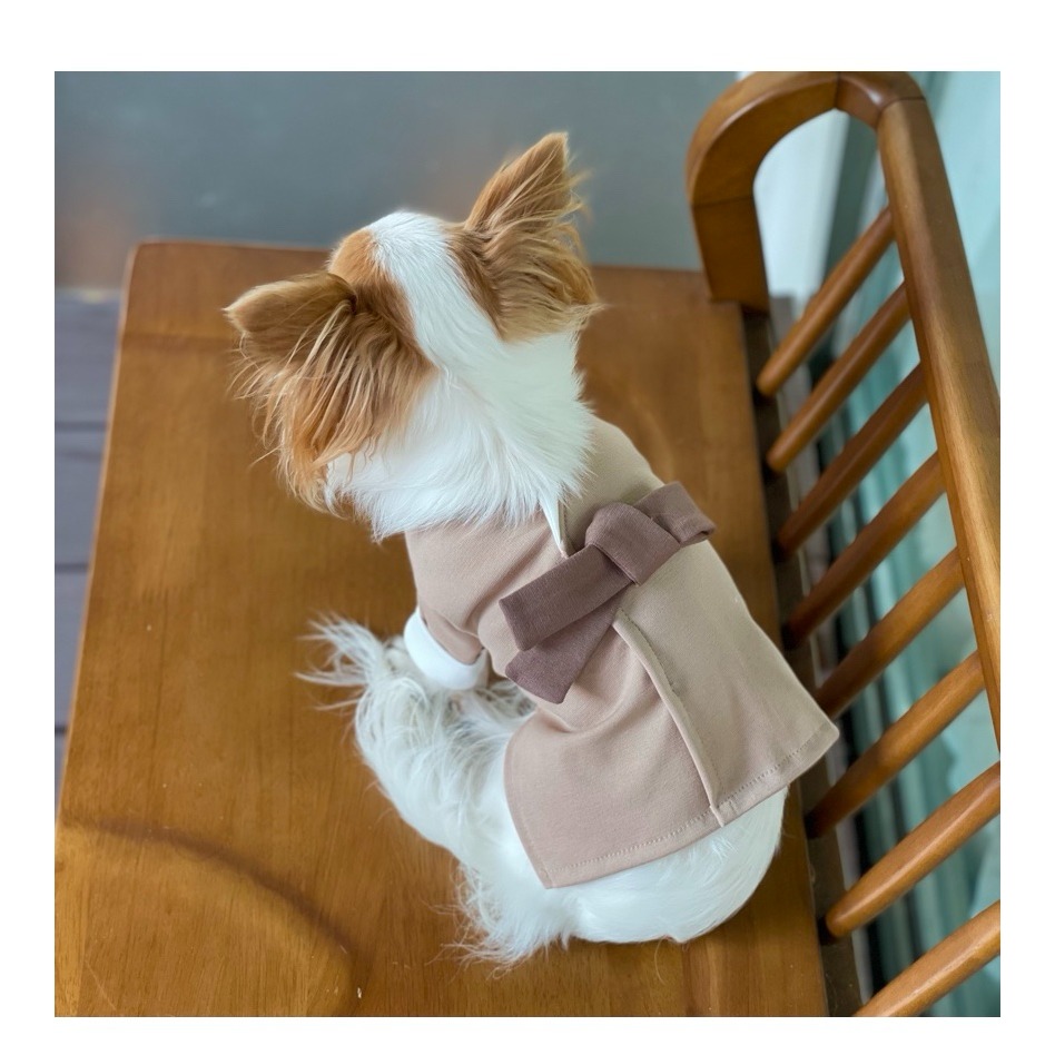 超Q小韓服-規格圖8