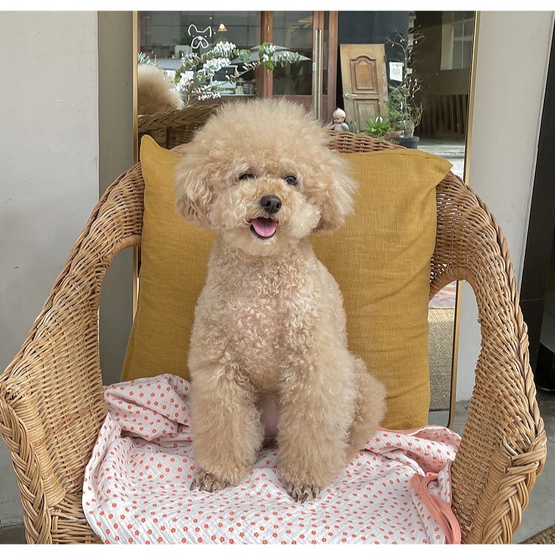 寵物碎花野餐墊-細節圖2