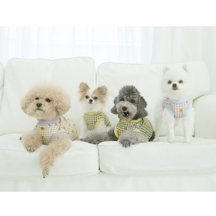 貓狗櫻桃小熊衣-細節圖2