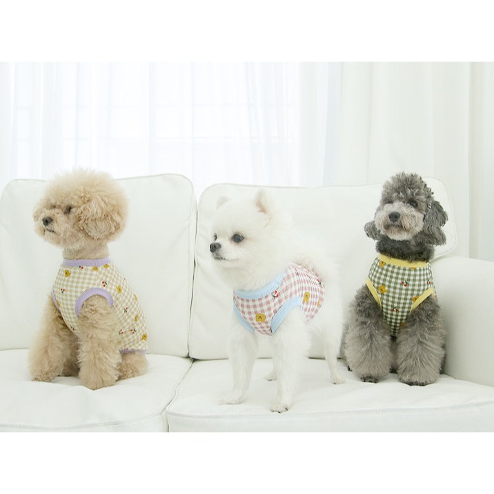 貓狗櫻桃小熊衣-細節圖3