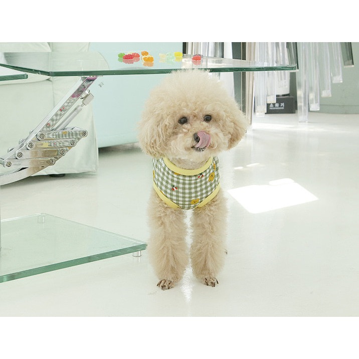 貓狗櫻桃小熊衣-細節圖4